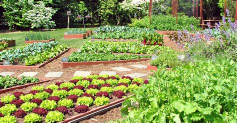 If you want to save money, start with seeds. The White House Garden is here to stay | Inhabitat - Green ...