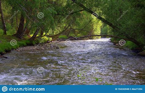 A Stormy And Impetuous Mountain River Flows Through The Valley And The
