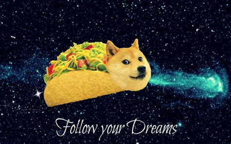 1080 X 1080 Doge This Doge Taco 25 Adorable Dogs Dressed Like Tacos