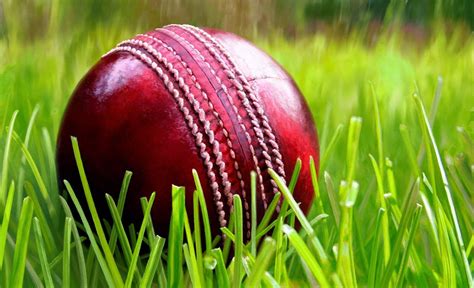 Cricket Bat And Ball Hd Images Download Images Poster