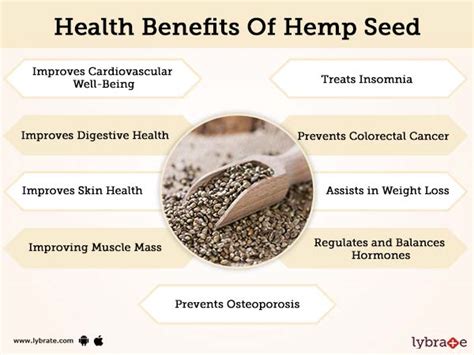 Benefits Of Hemp Seed And Its Side Effects Lybrate
