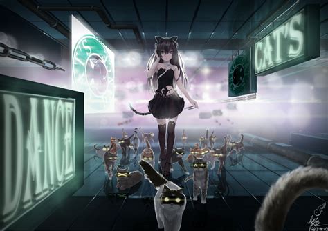 anime cat girl wallpapers wallpaper cave