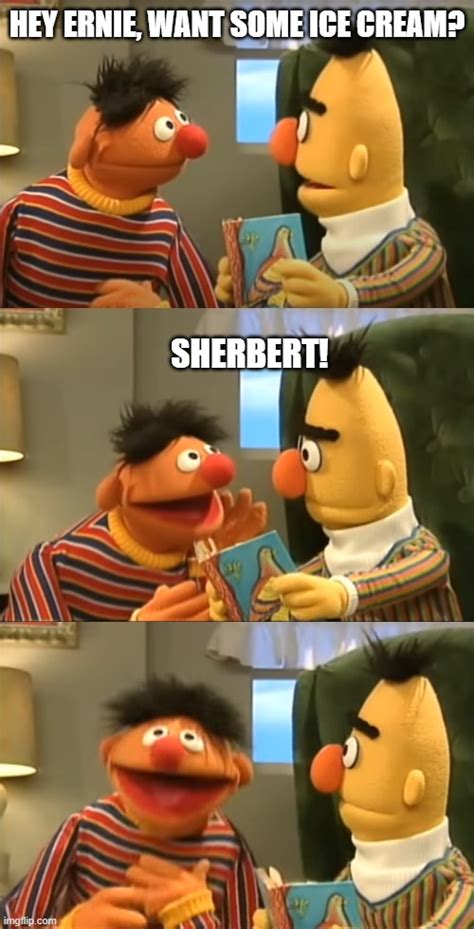 Sesame Street Memes GIFs Imgflip