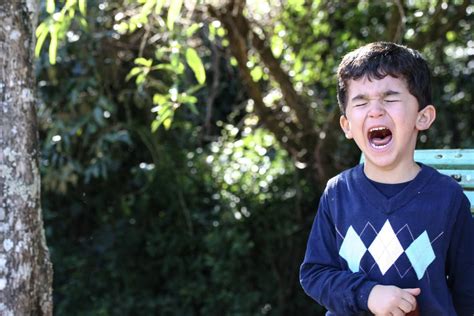 Autism And Tantrums Strategies For Parents Therapeutic Pathways