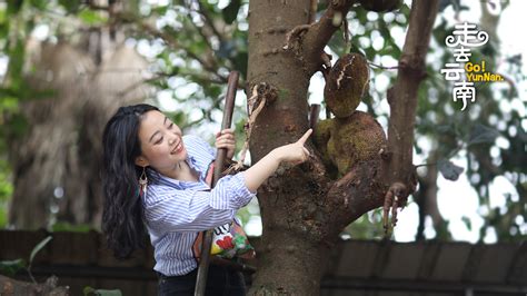 Fruits Feast In A Jingpo Yard In Sw Chinas Yunnan Cgtn