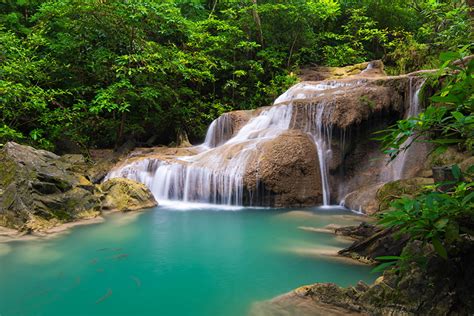 Картинка Таиланд Скала Природа Водопады Парки Тропики дерева