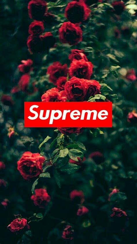 Laden sie das louis vuitton hintergrundbild kostenlos herunter und verwenden sie es für mobiltelefone und desktop. Supreme Luivuton Hintergrund Bild : Pin von offiziell ...