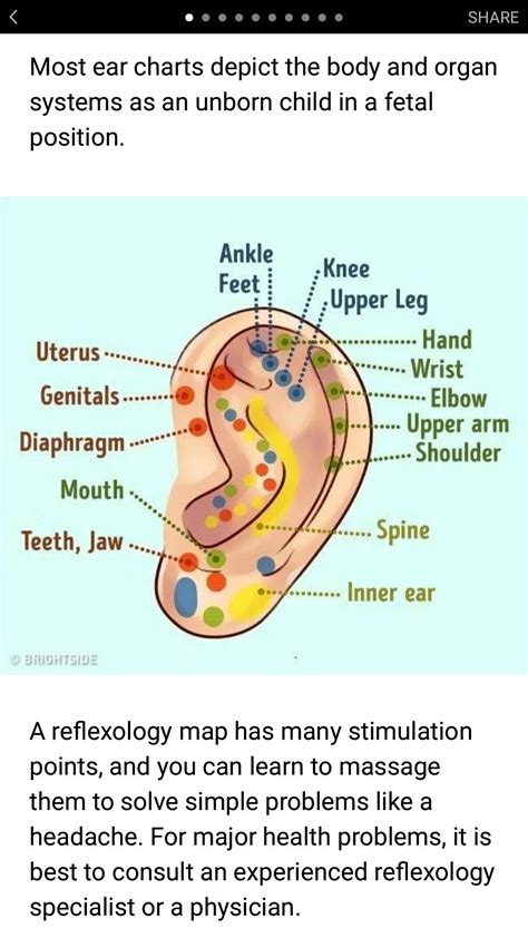 Pin By Janine Collins On Health And Beauty Ideas Ear Reflexology How