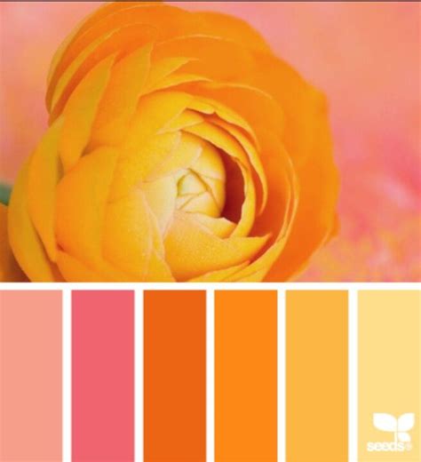 Check out the orange paint colors below for the right paint color for your next project. Ranunculus orange | Design seeds, Orange color, Color palette