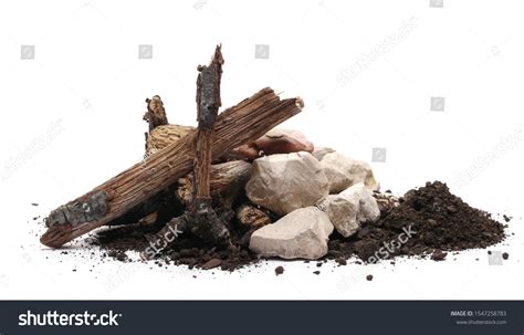 Decorative Dry Rotten Branches Soil Dirt Stock Photo Edit Now 1547258783