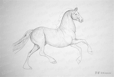 Рисунки лошадей карандашом фото