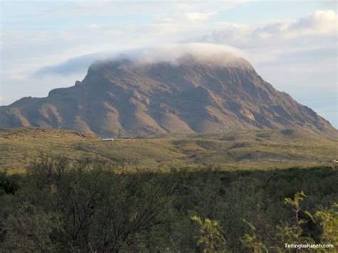 Check spelling or type a new query. Big Bend RV Parks: The RV Park at Terlingua Ranch Lodge Resort