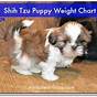 Weight Chart For Shih Tzu Puppies
