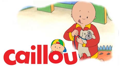 Caillou Caillou Walks A Dog S01e50 Cartoon For Kids Youtube