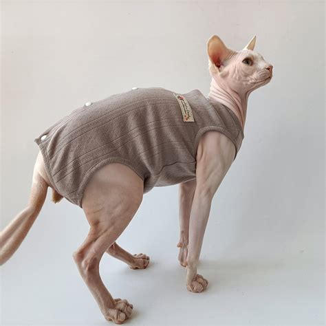 Sphynx Cat T Shirt Hairless Cat Clothes Summer Vest Romper Etsy