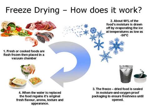 Freeze Drying Metode Yang Dapat Menghasilkan Produk Pangan Berkualitas