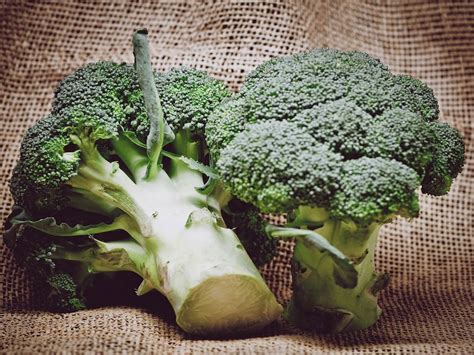 The mainstay of your keto diet will be 75 percent healthy fats , 20 percent protein and 5 percent carbohydrates. El brócoli podría ayudar a combatir la diabetes tipo 2 ...
