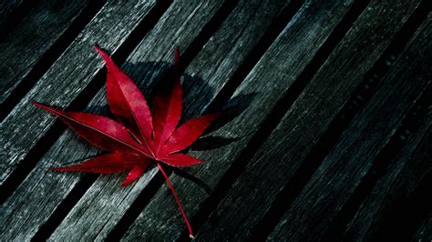 Red Weed Leaf On Wooden Table Hd Weed Wallpapers Hd Wallpapers Id