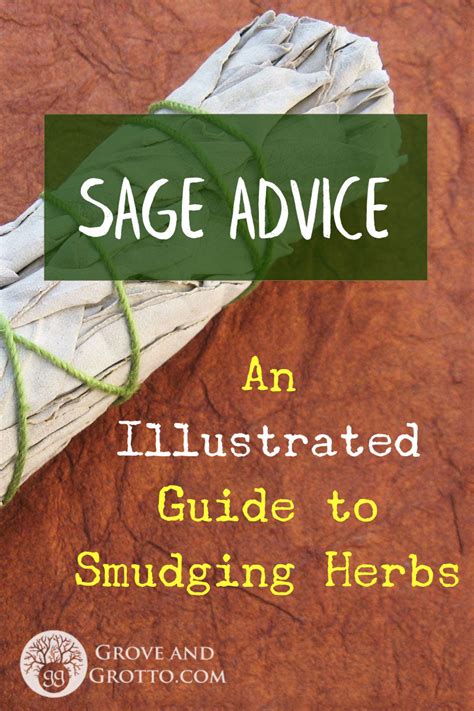 Sage Advice An Illustrated Guide To Smudging Herbs Grove And Grotto