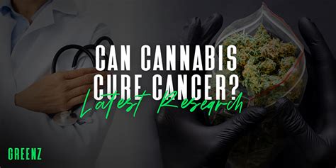 Can Cannabis Treat Cancer What Science Says Greenzstore