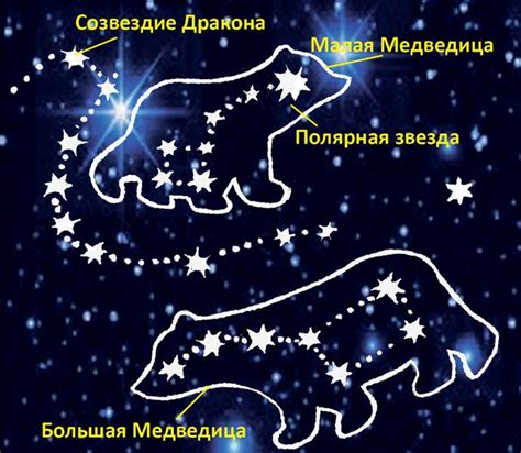 The Zodiac Sign For Leo Is Depicted In This Graphic