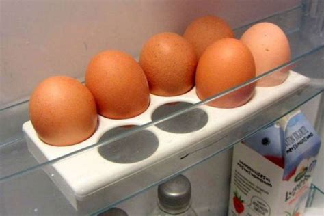 Správné skladování vajec prodlouží jejich trvanlivost Světkreativity