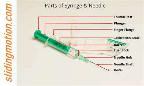 Expert Guide Of Syringe Parts Learn Anatomy Functions And Diagram