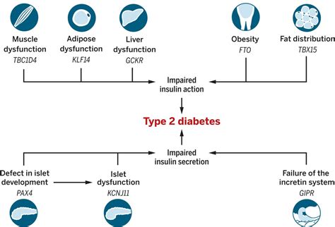 exposing the exposures responsible for type 2 diabetes and obesity science