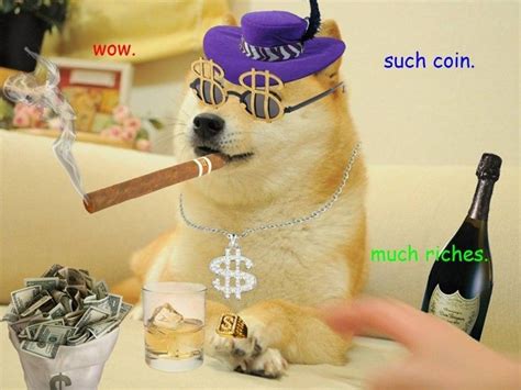 The Rise Of Dogecoin With Images Doge Doge Meme