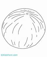 Coloring Melon Cantaloupe Template Designlooter sketch template