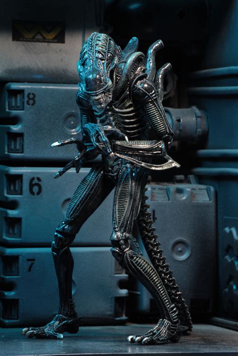 The legion to ensure total harmony and law (l.e.t.h.a.l.), is tracking a criminal mastermind known only as the warrior. Aliens Ultimate Aliens Warrior 1986 Action Figures by NECA ...