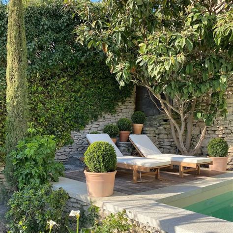 Your Guide To French Country Planters Where To Place Them What Plants