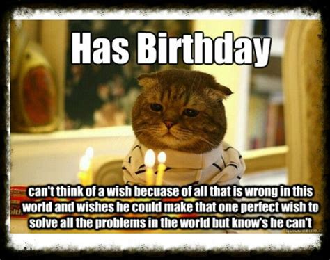 Check out this fantastic collection of cat meme wallpapers, with 47 cat meme background images for your desktop, phone or tablet. Happy Birthday! | Cat birthday memes, Happy birthday cat ...