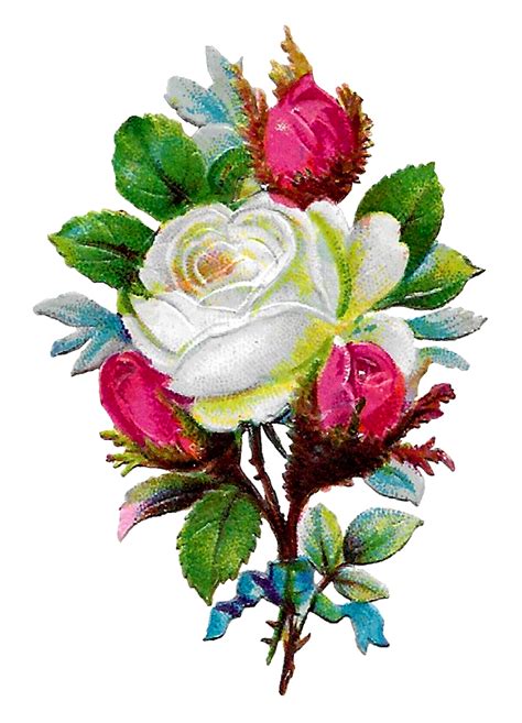 The Graphics Monarch Shabby Chic White Rose Clip Art Flower Craft