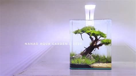 Bisa jadi inspirasi buat kalian yg lagi bingung mau setting aquascape nya nih. AMAZING MINI BONSAI IN NANO AQUASCAPE - AQUASCAPE MINI ...