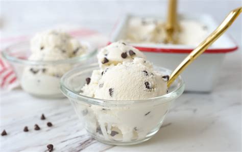 Homemade Chocolate Chip Ice Cream By Leigh Anne Wilkes