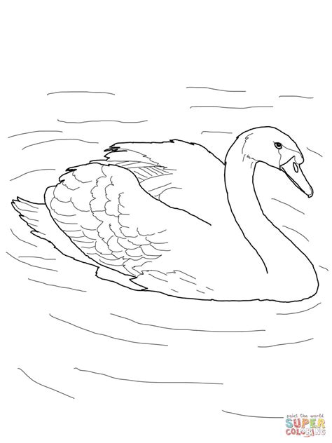 Maybe you would like to learn more about one of these? Mute Swan in a Pond coloring page | Free Printable ...