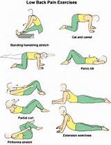 Core Muscle Exercises For Seniors Pictures