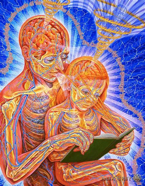 איך לפתוח את העין השלישית Avec Images Alex Grey Artiste Peintre