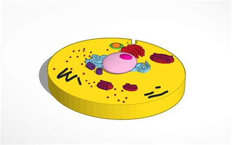 3d Design Animal Cell Tinkercad
