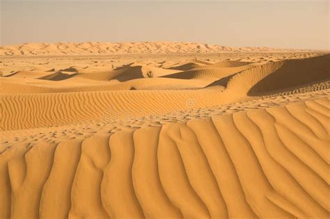 Orange Sand Dunes In Desert Stock Image Image Of Dubai Outdoor