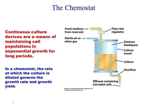 The Chemostat For Continuous Cell Culture Note Also A Stirrer
