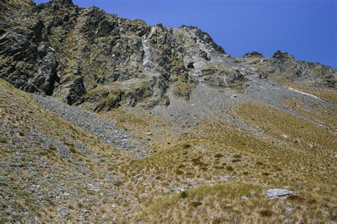 Alpine Scree Habitat Eyre Mts In The Eyre Mountains Sout Flickr