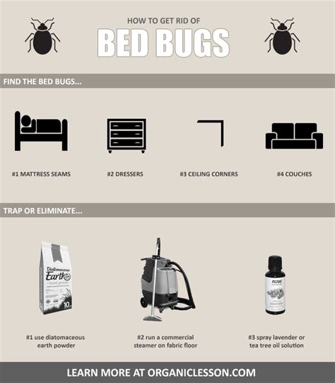 Best Way To Get Rid Of Bed Bugs Walmart Bed Frames Ca