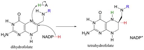 166 Additional Examples Of Enzymatic Hydride Transfer Reactions