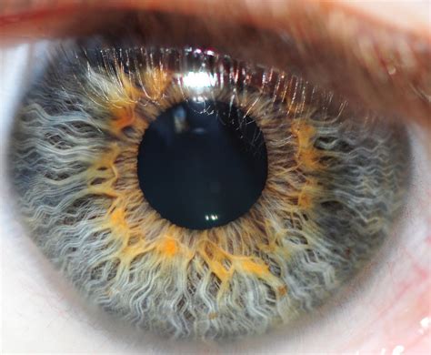 My Eye By Michael Mckinney 500px Cool Eyes Human Eye Iris Eye EroFound