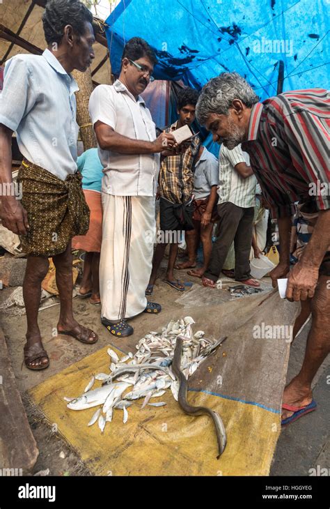 Fish Market At Fort Kochi Cochin Kerala India Stock Photo Alamy