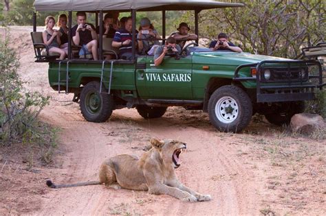 Kruger Park Safaris Leading Kruger National Park Safari Tours