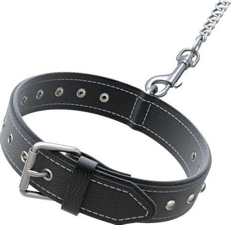 Dog Collar Png Transparent Image Download Size 1110x1082px