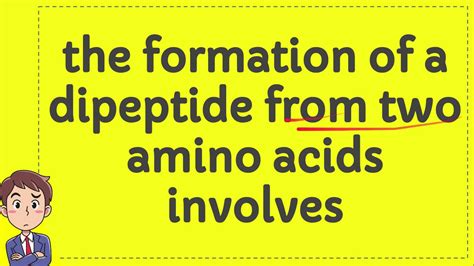 The Formation Of A Dipeptide From Two Amino Acids Involves Youtube